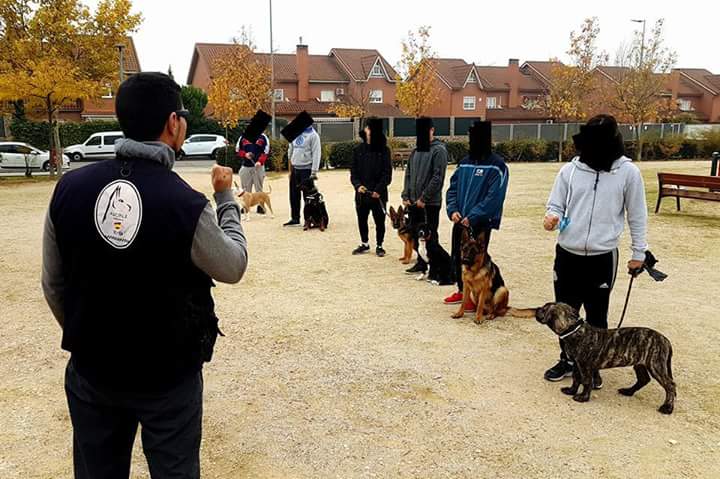 La Asociación de Guías Caninos de las Policías Locales de España realizará una actividad el próximo viernes 7 de abril La Asociación de Guías Caninos de las Policías Locales de España realizará una actividad el próximo viernes 7 de abril