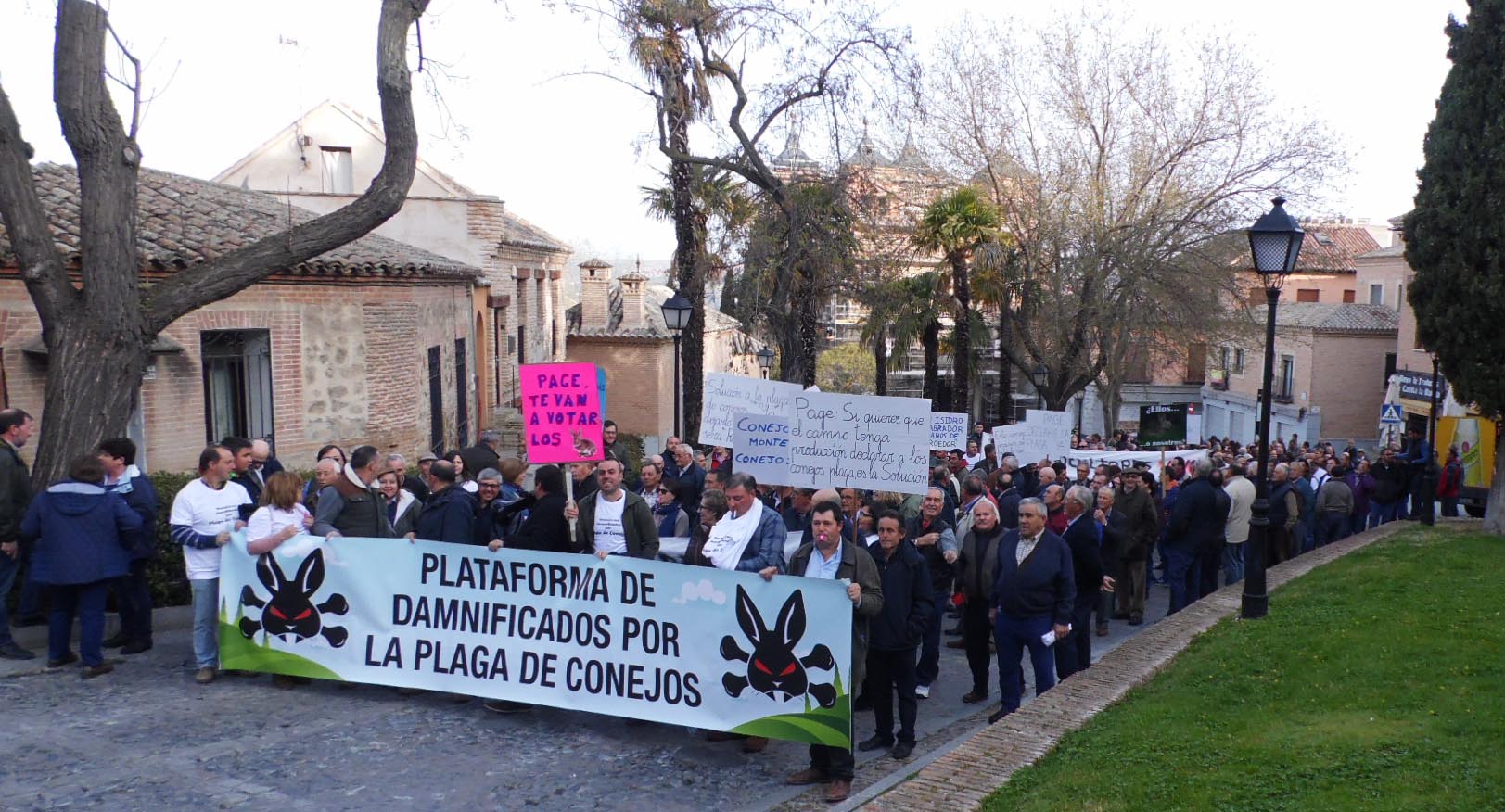 manifestacionplataformaconejostoledocabecera