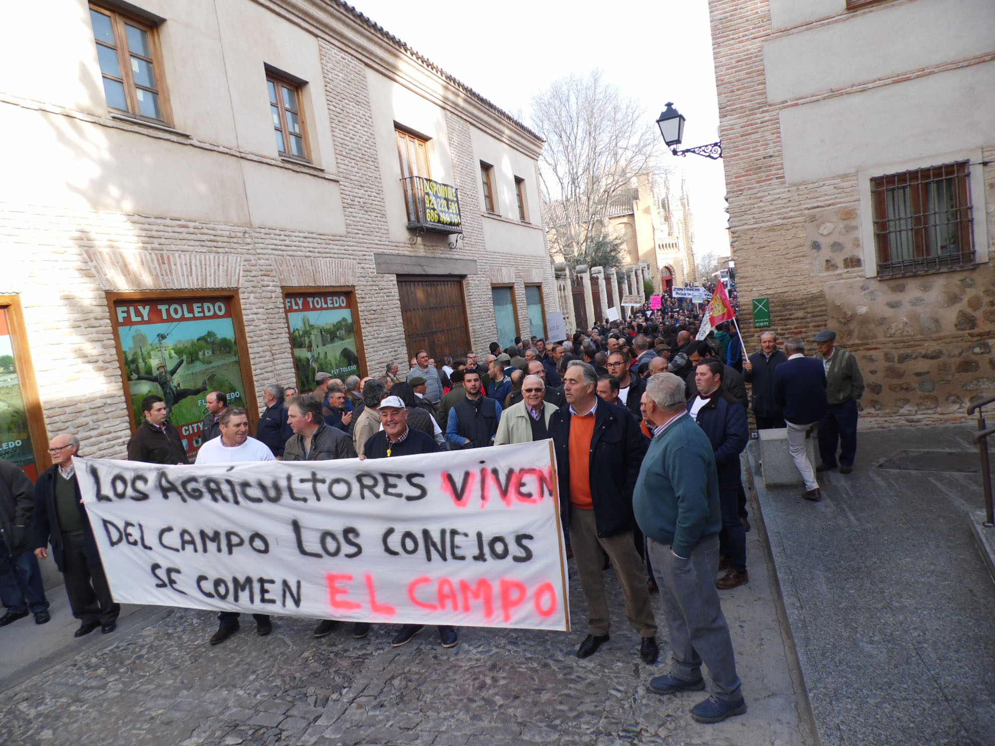 manifestacionplataformaconejostoledocabecera2
