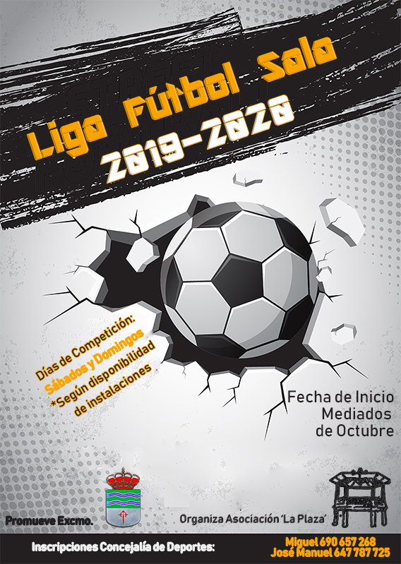 CartelLigaFutbolSalaWeb