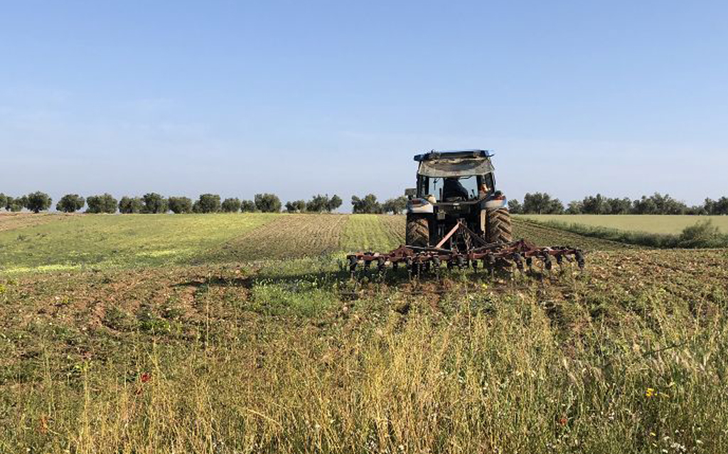 tractor arando