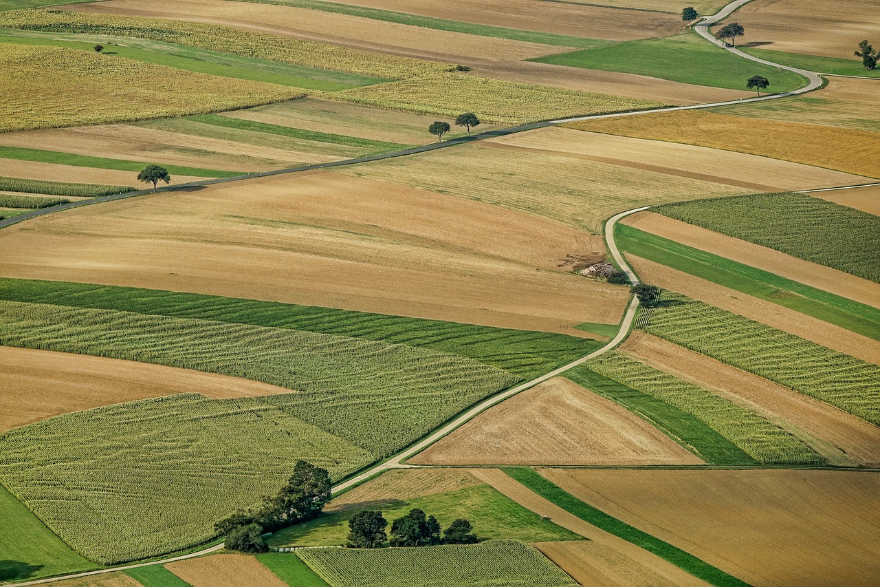 campo parcelas