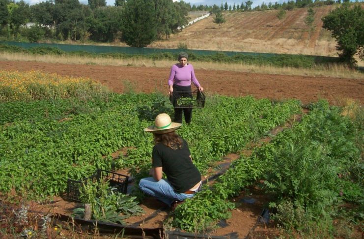 MUJER TRABAJO CAMPO
