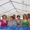 lavillaoptimistachiringuitoampas