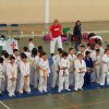 Torneo Judo Ontígola