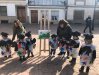 Carnaval Desfile
