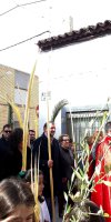 Procesión del Domingo de Ramos