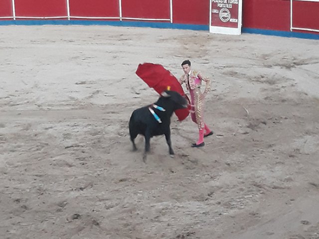 toros1