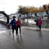 VI Carrera Popular