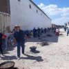 Feria y Fiestas 2018 en honor al Santísimo Cristo del Consuelo