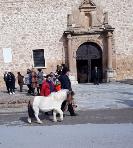 San Antón 2019 - Pasacalles de animales 1