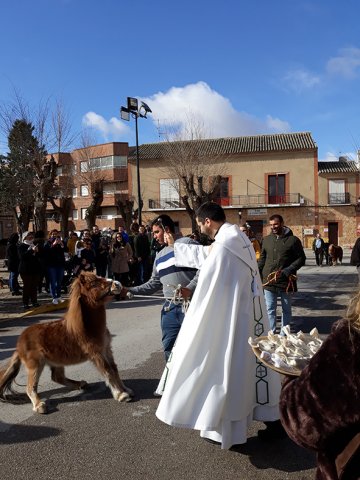 San Antón 2019 - Bendición del sacerdote