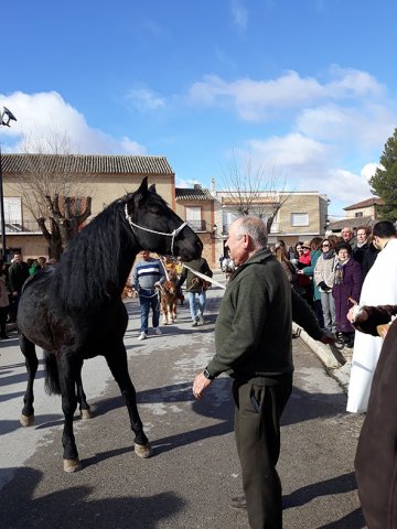 San Antón 2019 - Bendición del sacerdote