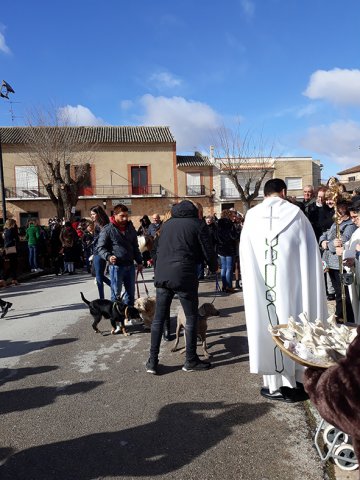 San Antón 2019 - Bendición del sacerdote