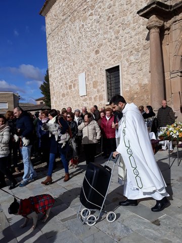 San Antón 2019 - Bendición del sacerdote