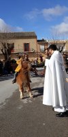 San Antón 2019 - Bendición del sacerdote