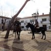 San Antón 2019 - Animales en la Plaza