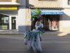 Desfile de adultos