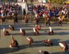 Carnaval 2020 - Desfile de Grupos y Comparsas Adultos