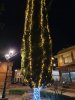 Iluminación navideña 2020
