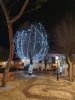 Iluminación navideña 2020