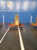 Los Reyes Magos de Oriente llegaron puntuales a la cita de homenaje a los niños y niñas en La Villa de don Fadrique