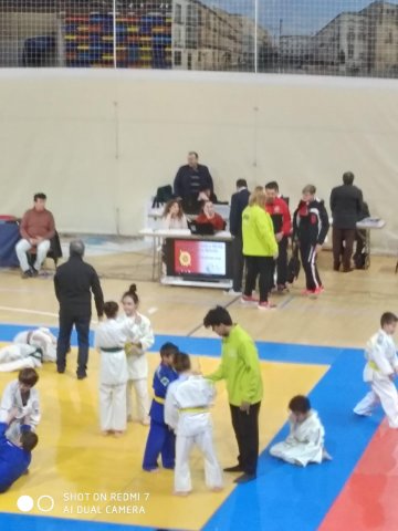 alevinescombate