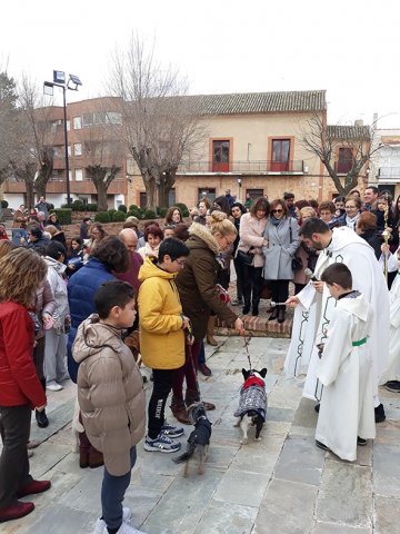 Fiestas de San Antón