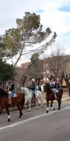 Fiestas de San Antón