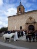 San Antón 2020