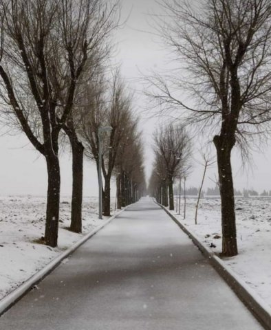 paseodelcementeriolavilladedonfadriquenevado