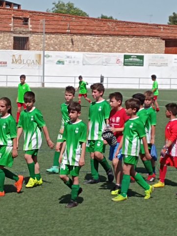 villacupbenjaminesvilla2