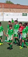 villacupbenjaminesvilla2