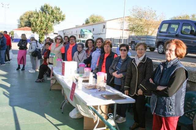 organizacion
