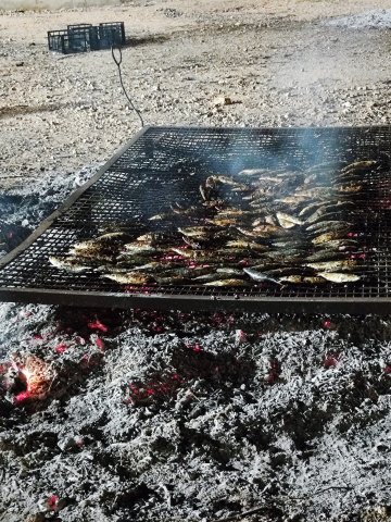 entierrodelasardina2023