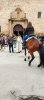 Fiesta de San Antón