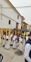 procesiondomingoderamos2024-hebreos