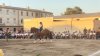 ElBailardelosCaballos10