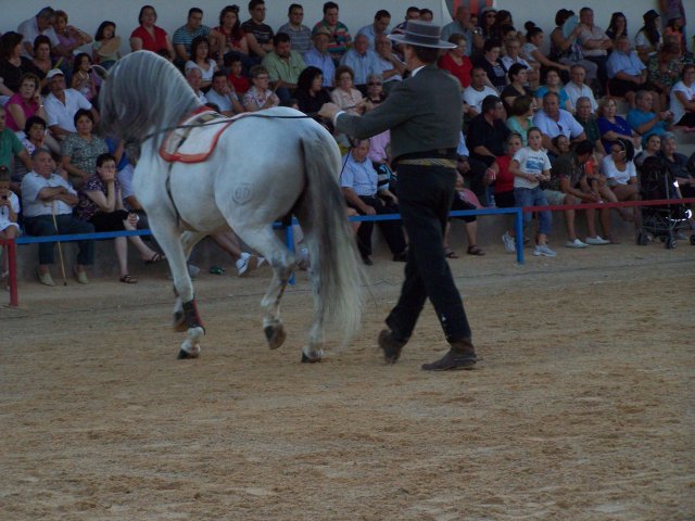 espectaculoecuestre3