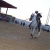 espectaculoecuestre1