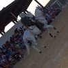 espectaculoecuestre4