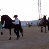 espectaculoecuestre6
