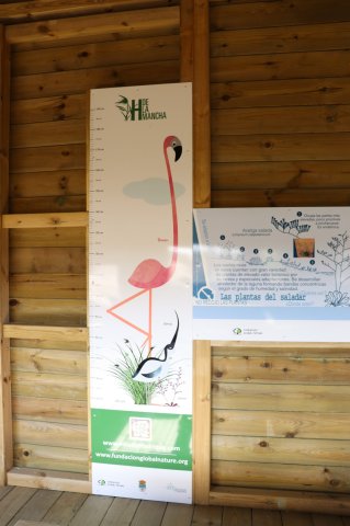 Mirador El Salobral 1