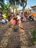 Día de la Naturaleza 2019