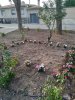 Día de la Naturaleza 2019