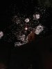  Reportaje Jornadas Fadriqueñas 2019