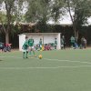 Torneo Fútbol14