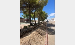 El Recinto Ferial de La Villa de don Fadrique contará con una línea soterrada de baja tensión para los puestos ambulantes